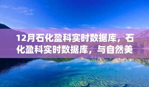 石化盈科实时数据库,与自然美景的交融之旅,探寻内心平静的旅程