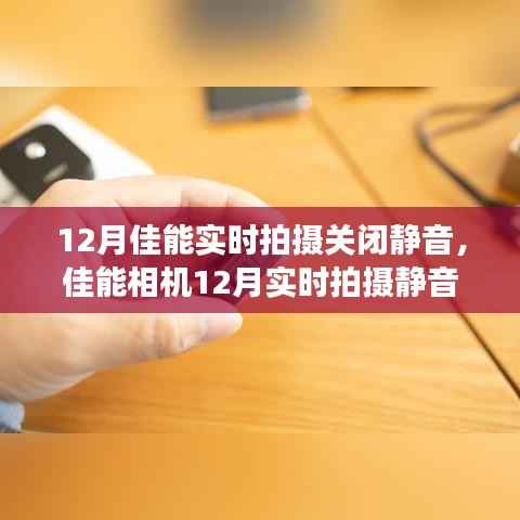 佳能相机实时拍摄静音功能关闭指南（初学者与进阶用户适用）