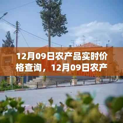 12月09日农产品实时价格查询与自然美景的治愈之旅结合体验报告