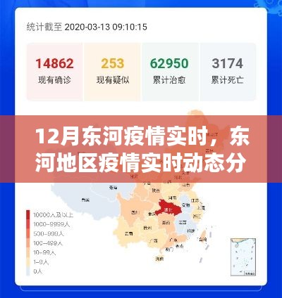 东河地区疫情实时动态分析报告,十二月版全面解析