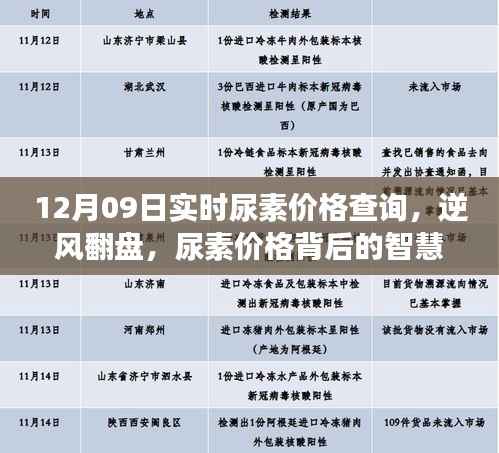 逆风翻盘，尿素价格背后的智慧与勇气，实时查询与学习变化之旅
