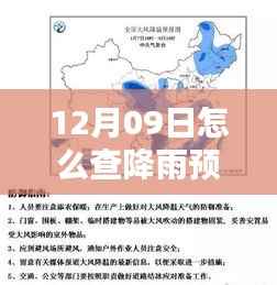 12月9日降雨预报实时查询,雨中温情与舞动的日子