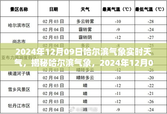 揭秘哈尔滨气象,2024年12月09日实时天气洞察