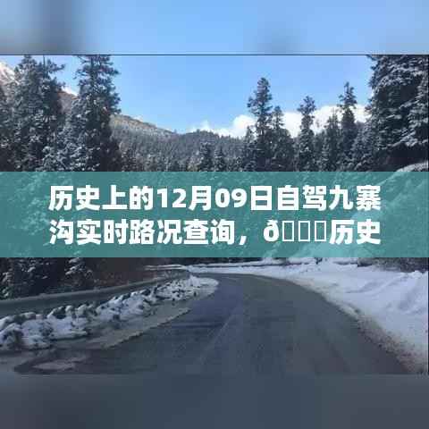 🚗驾驭九寨沟,历史时刻与实时路况智能导航新纪元🌄