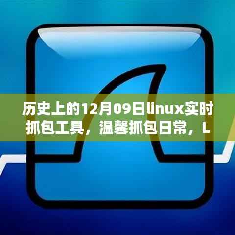 Linux实时抓包工具的历史与友情故事,温馨抓包日常回顾