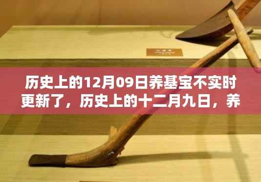历史上的十二月九日，养基宝暂停更新及其深远影响