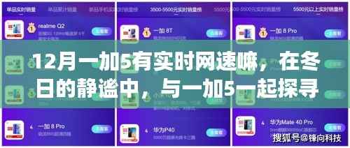 冬日的静谧与网速探寻，一加5的实时网速与自然美景之旅