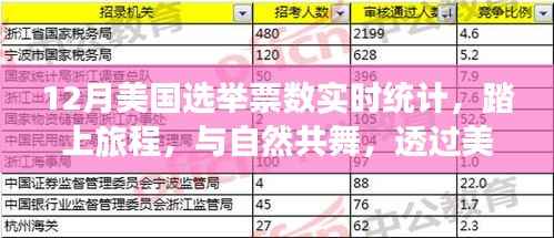 美国大选日与自然美景,实时票数统计下的自然之旅