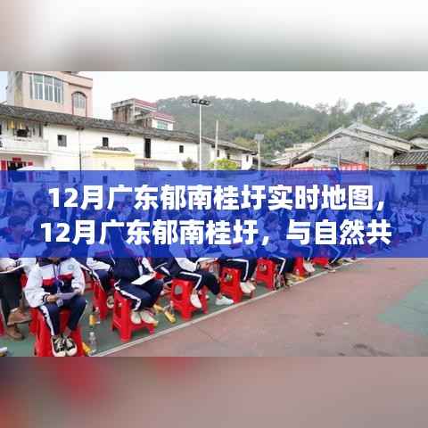 广东郁南桂圩实时地图,与自然共舞的心灵之旅,12月最新导航指南