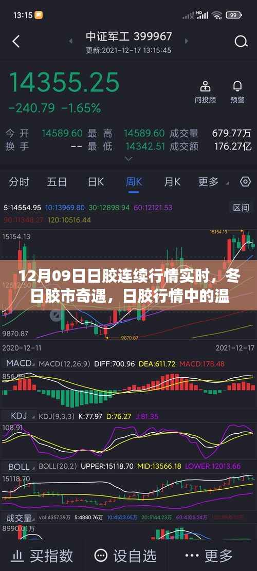 冬日胶市奇遇,日胶行情实时分析与温情时光的探寻