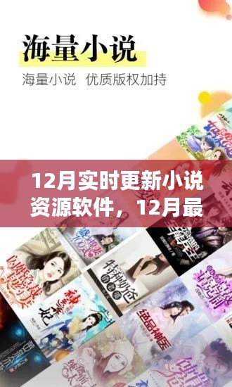 12月最新小说资源软件实时更新指南,热门小说阅读平台推荐