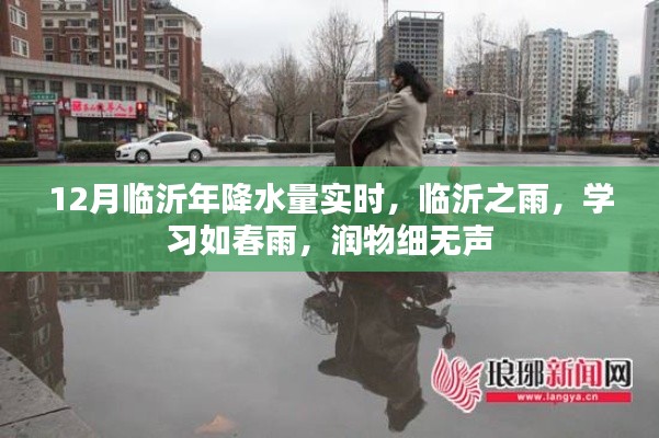 临沂12月实时降水量解析,润物细无声的春雨之力