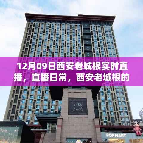 12月09日西安老城根实时直播，记录温暖时光