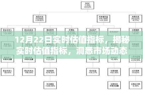 揭秘实时估值指标，洞悉市场动态，把握投资机遇（以12月22日为例）