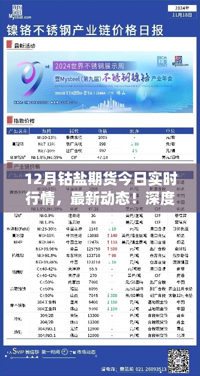 十二月钴盐期货实时行情深度解析，最新动态与市场走势洞悉