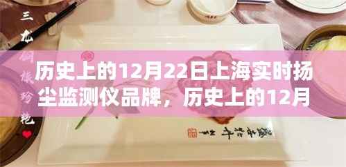 上海扬尘监测仪品牌详解，选购、使用与维护指南——历史上的12月22日实时扬尘监测仪品牌介绍