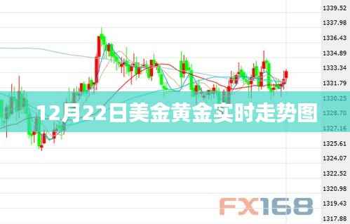 美金黄金走势图,最新实时动态分析