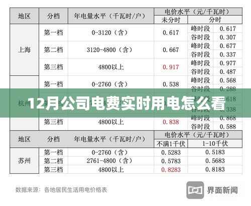 公司电费实时查看指南,12月用电监控全攻略