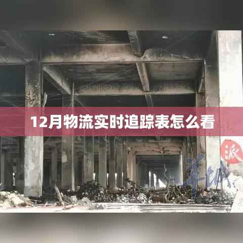 如何解读12月物流实时追踪表?