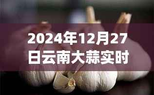 关于云南大蒜在2024年12月27日的最新动态报告