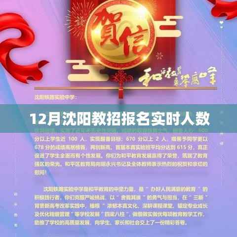 沈阳教招报名实时人数统计（最新数据）