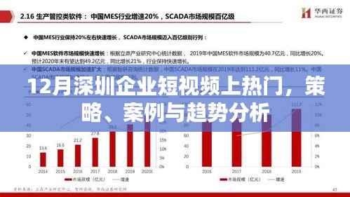深圳企业短视频热门策略、案例与趋势解析