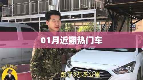 近期热门车型动态速递