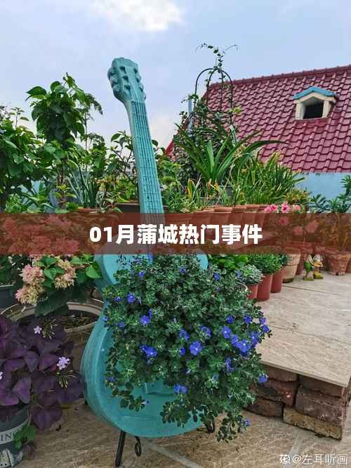 蒲城一月热门事件回顾