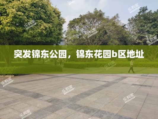 突发锦东公园,锦东花园b区地址