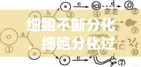 细胞不断分化,细胞分化过程中不会出现什么