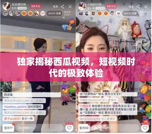 独家揭秘西瓜视频，短视频时代的极致体验