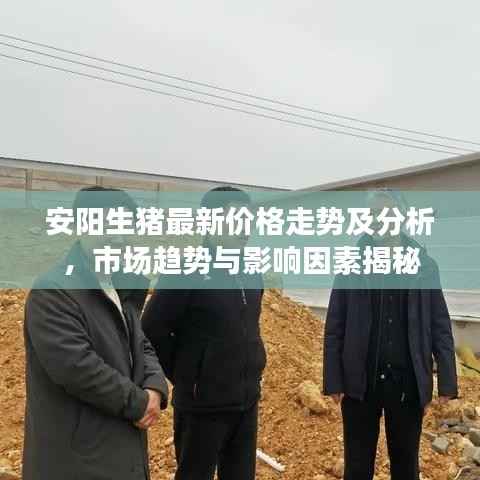 安阳生猪最新价格走势及分析，市场趋势与影响因素揭秘