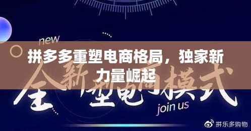 拼多多重塑电商格局,独家新力量崛起