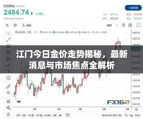 江门今日金价走势揭秘,最新消息与市场焦点全解析