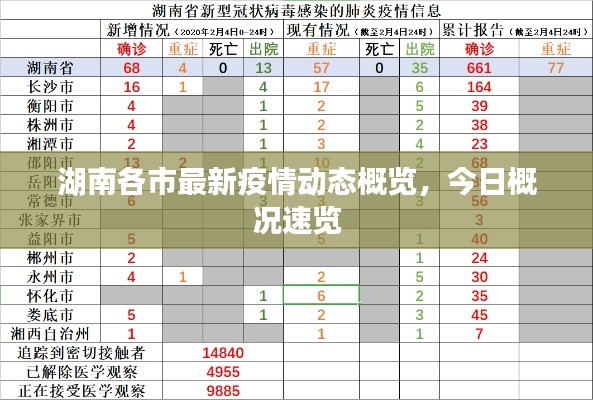 湖南各市最新疫情动态概览，今日概况速览