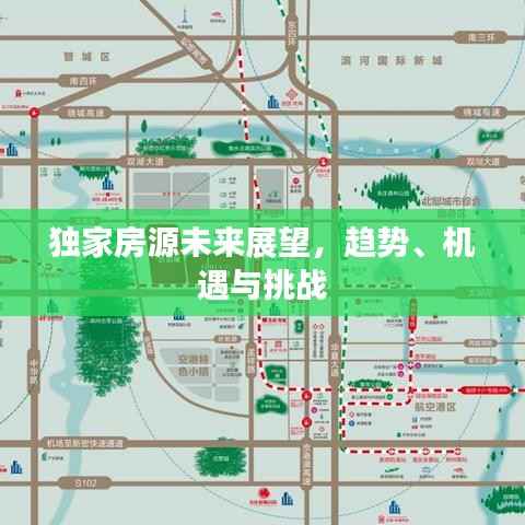 独家房源未来展望，趋势、机遇与挑战