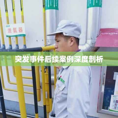 突发事件后续案例深度剖析