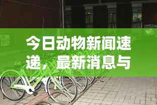 今日动物新闻速递，最新消息与动态报道