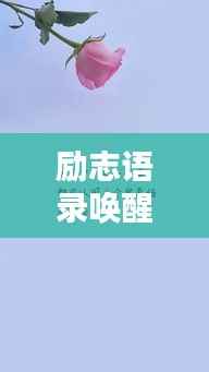 励志语录唤醒心灵力量,不负时光,不负自己