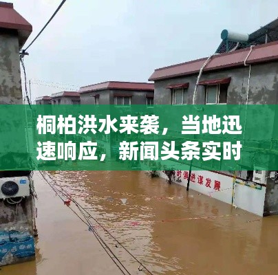 桐柏洪水来袭，当地迅速响应，新闻头条实时更新