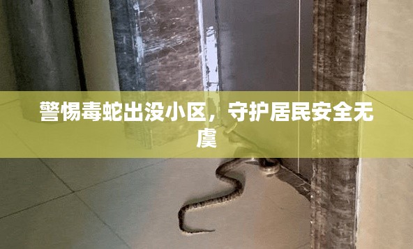 警惕毒蛇出没小区,守护居民安全无虞