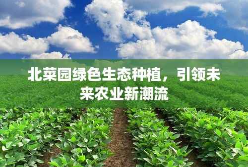 北菜园绿色生态种植,引领未来农业新潮流