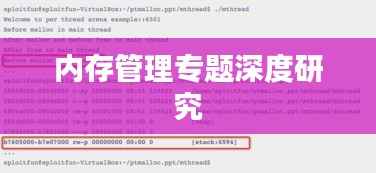 内存管理专题深度研究