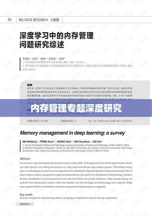 内存管理专题深度研究