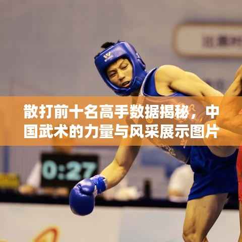 散打前十名高手数据揭秘，中国武术的力量与风采展示图片