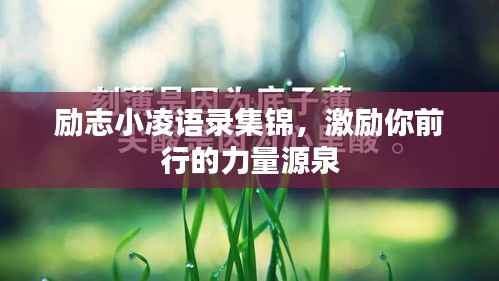 励志小凌语录集锦,激励你前行的力量源泉