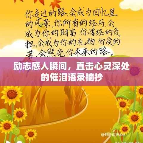 励志感人瞬间,直击心灵深处的催泪语录摘抄