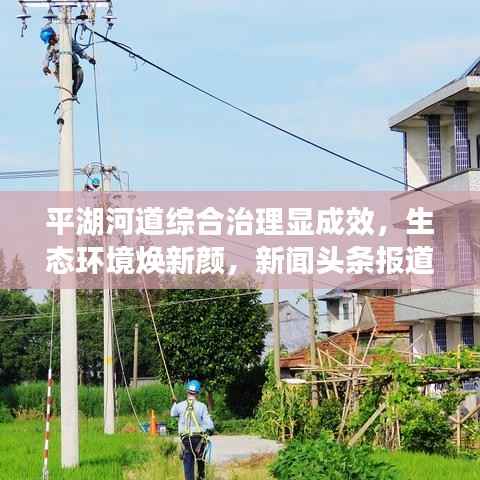 平湖河道综合治理显成效,生态环境焕新颜,新闻头条报道