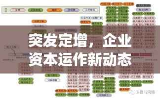 突发定增,企业资本运作新动态引发市场热议与反应
