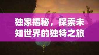 独家揭秘，探索未知世界的独特之旅